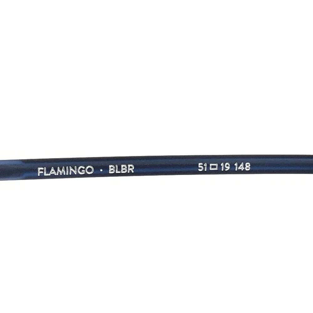 Etnia Barcelona Sunglasses FLAMINGO BLBR Blue Brown Frames with Brown Polarized
